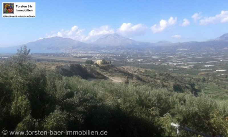 Vori Kreta, Vori Olivenhain 200.000m² mit 2 Gebäuden zu verkaufen Grundstück kaufen